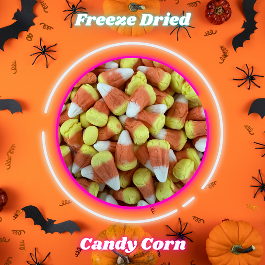 Freeze Dried - Candy Corn