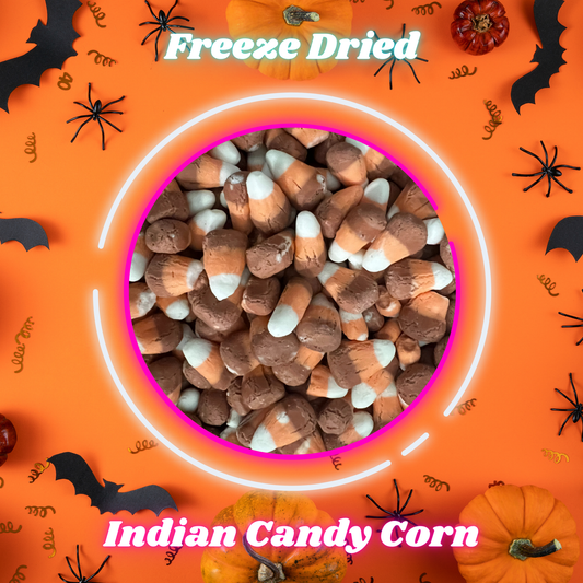 Freeze Dried - Indian Candy Corn